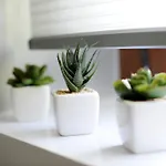 Διαμέρισμα Feel Good Penthouse With Jacuzzi *