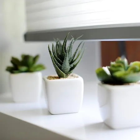 Appartement Feel Good Penthouse With Jacuzzi *