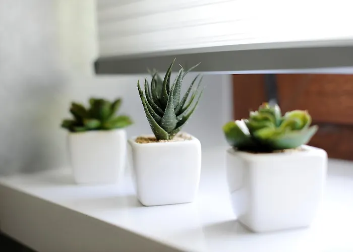 Апартаменты Feel Good Penthouse With Jacuzzi *